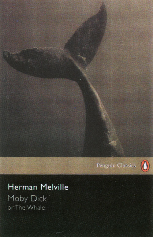 book cover with black area, titles, and dramatic photo of whales fin in the air